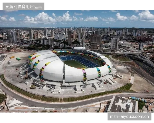 近八成世界杯转播场馆依托多用途改造消解设备闲置压力